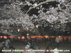 黒鳥山公園夜桜01