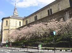 yp̍ƉԁzNotre Dame de Clignancourt̍(18)